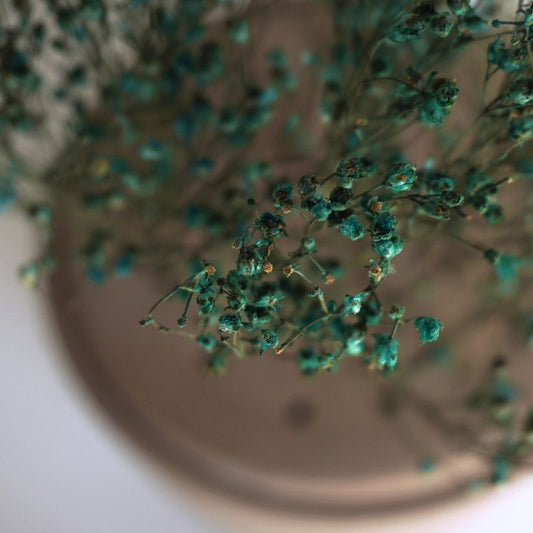 Dried flower vase #3