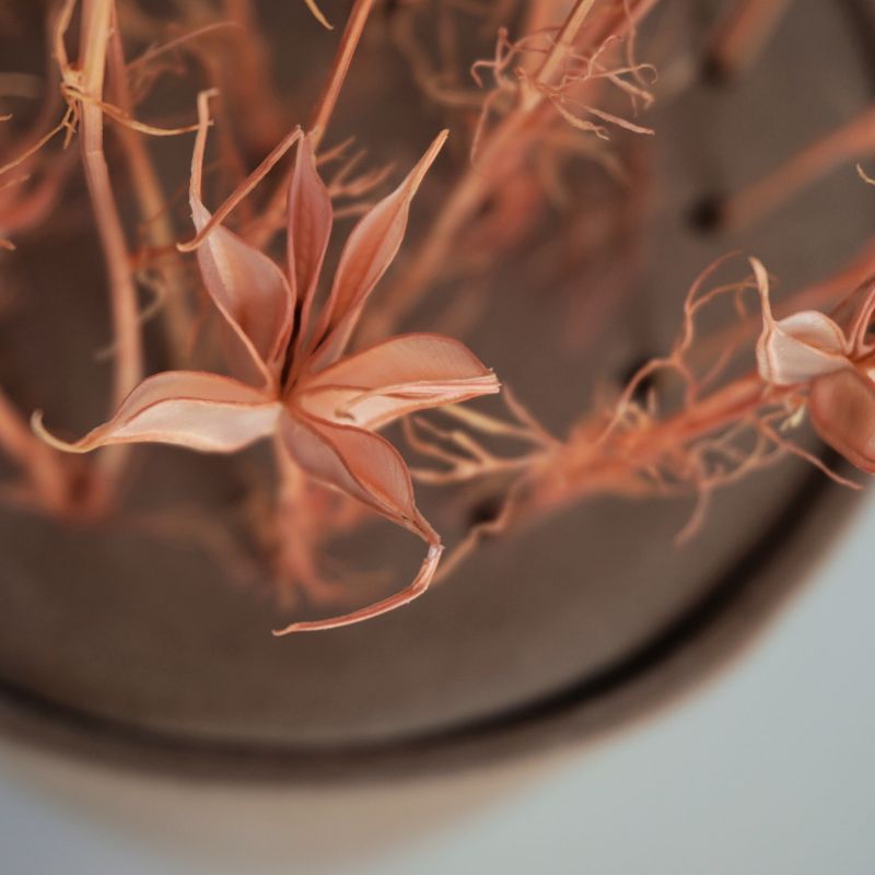 Dried flower vase #2