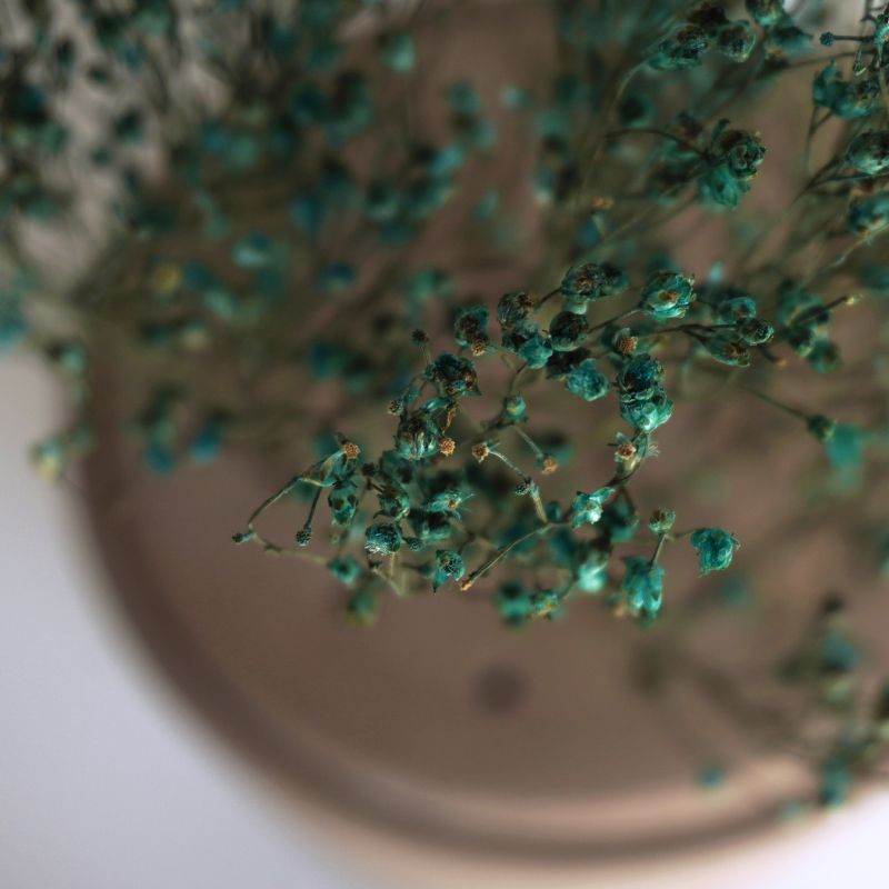 Dried flower vase #3