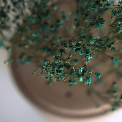 Dried flower vase #3